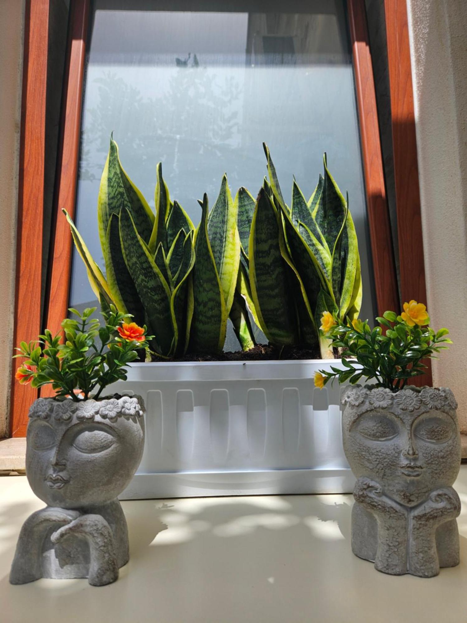 Guru House B&B Apartments ミラッツォ エクステリア 写真